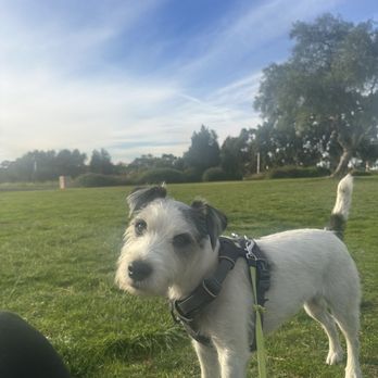 Canine Education - Pet Training Near Me - San Diego, California Canine Education - Pet Training Near Me - San Diego, California