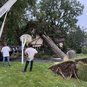 Magee Tree Service - Tree Services Near Me - Commerce Township, Michigan Magee Tree Service - Tree Services Near Me - Commerce Township, Michigan