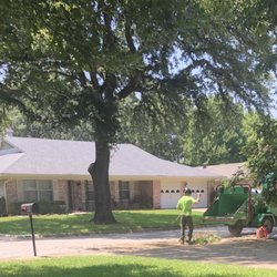 Treehugger Tree Service - Clean-up after their works