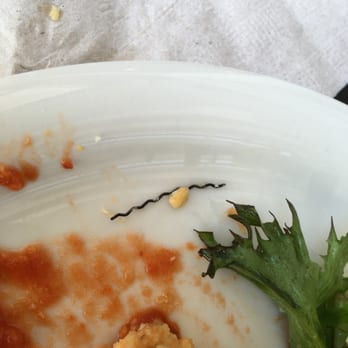 Urth Caffe - A 2" piece of black metal that was in an Urth Tamale and almost swallowed - Coffee & Tea Near Me - Laguna Beach, California Urth Caffe - A 2" piece of black metal that was in an Urth Tamale and almost swallowed - Coffee & Tea Near Me - Laguna Beach, California