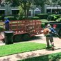 Hernandez Landscaping & Lawn Services