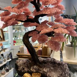 The Secret Door Crystal Wellness Gallery - Large Carnelian Crystal Tree - The Secret Door, Morgan Hill CA