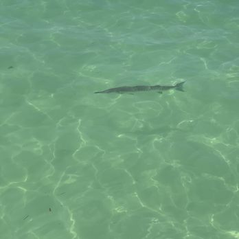 Fury Water Adventures - Barracuda - Boating Near Me - Key West, Florida Fury Water Adventures - Barracuda - Boating Near Me - Key West, Florida