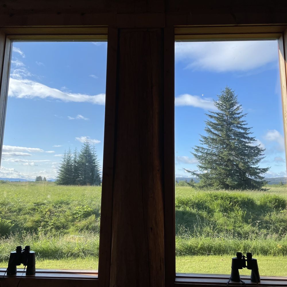 Bear Track Inn - Window with a view - Hotels Near Me