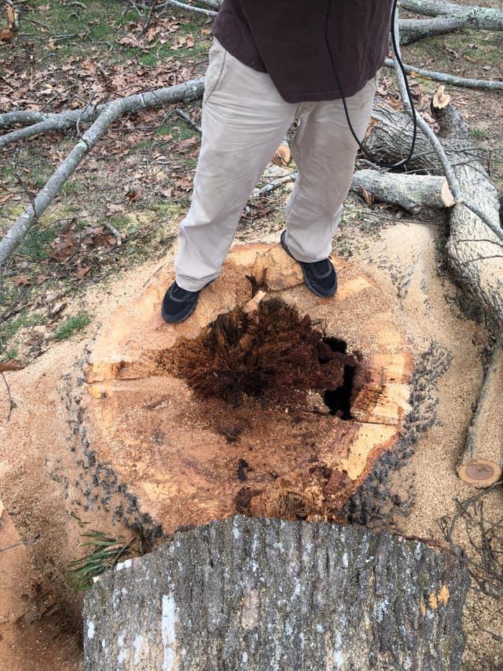 Slide of Budget Plumbing & Handyman Services