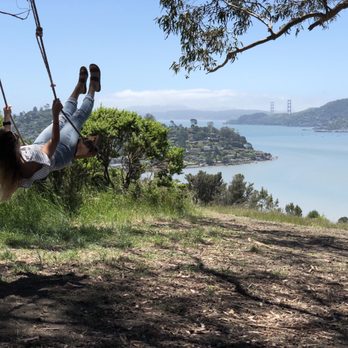 Hippie Tree - This place is incredible. A little tricky to find. Make sure you find the fire road with the circular mirror next to it. About a .3 mi hike - Hiking Near Me - Tiburon, California