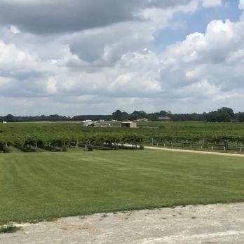 Hinnant Family Vineyards - Wineries Near Me - Pine Level, North Carolina Hinnant Family Vineyards - Wineries Near Me - Pine Level, North Carolina