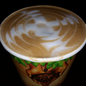 Liquid Planet - Honey bee - Coffee & Tea Near Me - Missoula, Montana