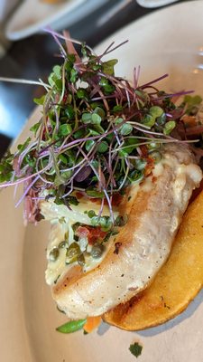 Rustica | Eatery and Tavern by null