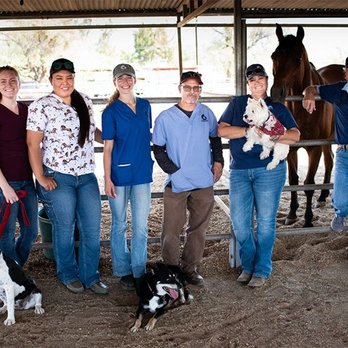 Reata Veterinary Hospital - Veterinarians Near Me - Tucson, Arizona Reata Veterinary Hospital - Veterinarians Near Me - Tucson, Arizona