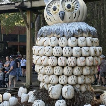 Dollywood's Splash Country - White plastic pumpkins in the shape of an owl. - Amusement Parks Near Me - Pigeon Forge, Tennessee Dollywood's Splash Country - White plastic pumpkins in the shape of an owl. - Amusement Parks Near Me - Pigeon Forge, Tennessee