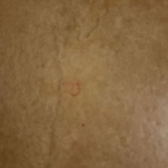 Fireside Lodge - Who's blood is this? - Hotels Near Me - Big Bear Lake, California Fireside Lodge - Who's blood is this? - Hotels Near Me - Big Bear Lake, California