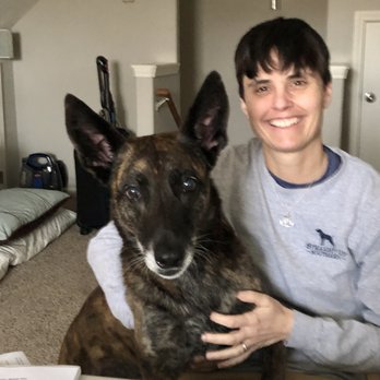Always Training K9s - Pet Training Near Me