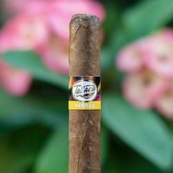 Marmol Cigars Boutique Store - Delicious flavored Tatiana Cigars. For Sale in our Store. Come and visit us. 11041 Beach Blvd Jacksonville FL 32246