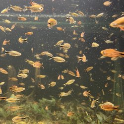 Aquarium Co-Op