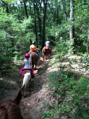 Brighton Recreation Riding Stable