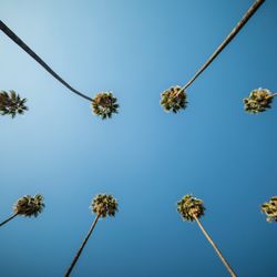 If you could avoid looking at traffic, just look up, and out the window.