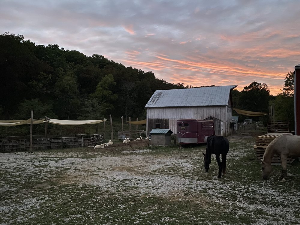 Holistic Horsemanship Institute of America - equestrian in House Springs, MO