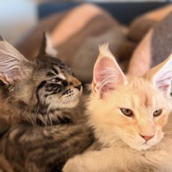 Dry Creek Veterinary Center