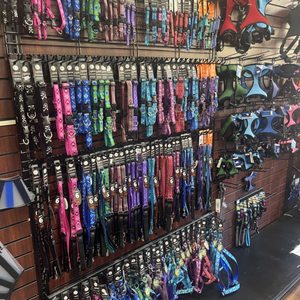 Photo of A to Z Pet Shop - Trumbull, CT, United States. Pet collars
