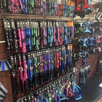 A to Z Pet Shop - Pet collars - Pet Stores Near Me - Trumbull, Connecticut A to Z Pet Shop - Pet collars - Pet Stores Near Me - Trumbull, Connecticut