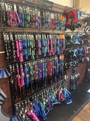 Photo of A to Z Pet Shop - Trumbull, CT, US. Pet collars