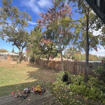 Alta Vista Landscaping and Tree Service - Landscaping Near Me - Placerville, California