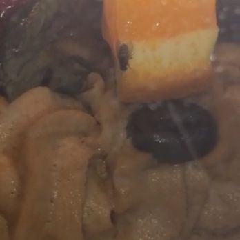 Mozart Bakery - Bugs - Bakeries Near Me - Duluth, Georgia
