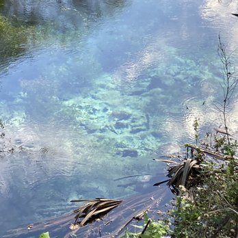 Rainbow Springs State Park - Parks Near Me - Dunnellon, Florida Rainbow Springs State Park - Parks Near Me - Dunnellon, Florida