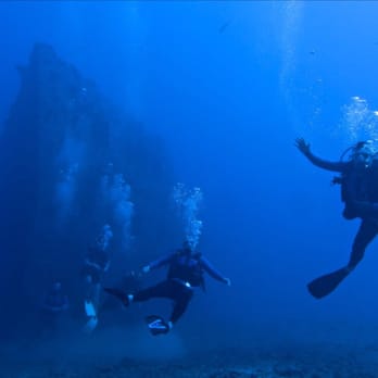 Aqua Zone - Totally rad experience - Scuba Diving Near Me - Honolulu, Hawaii