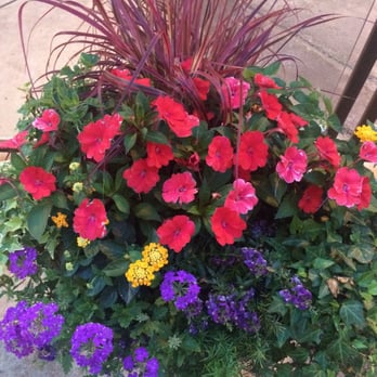 Chuy's - Gorgeous potted flowers everywhere. - Tex-Mex Near Me - Birmingham, Alabama