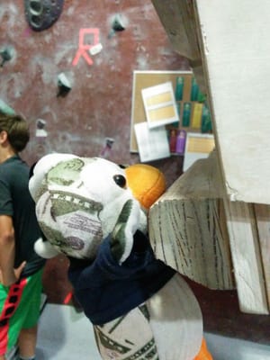 Santa Barbara Rock Gym by null