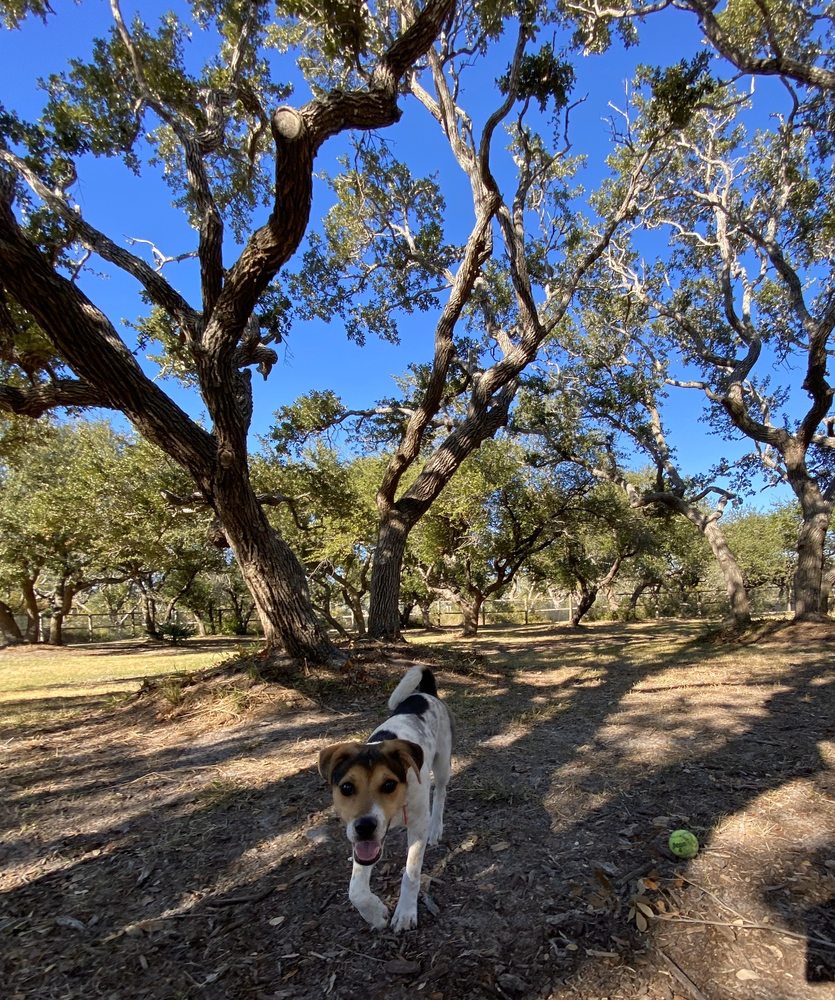 MEMORIAL PARK 38 Photos 1600 FM2165, Rockport, Texas Dog Parks
