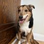 Photo of Creature Comforts