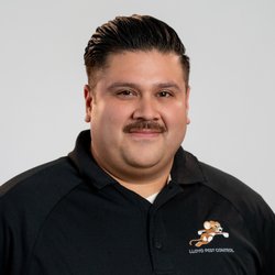 Lloyd Pest & Termite Control