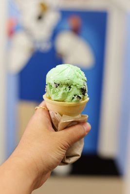 The Ice Storm by null