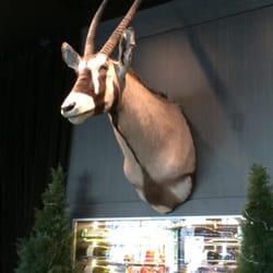 Bella Vista Hotel - Brings out the animal