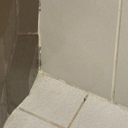 Shower with dirty grout and tile