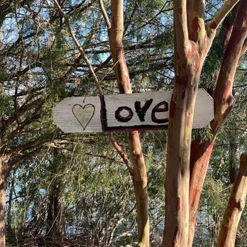 Oak Grove Lake Park - Cute Love sign - Parks Near Me - Chesapeake, Virginia Oak Grove Lake Park - Cute Love sign - Parks Near Me - Chesapeake, Virginia