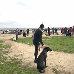 Fiesta Island first group class for our one eyed rescue from Puerto Vallarta. Scoobi fit right in! Chris is awesome!