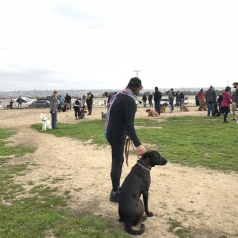American Canine Training - Fiesta Island first group class for our one eyed rescue from Puerto Vallarta. Scoobi fit right in! Chris is awesome! - Pet Training Near Me