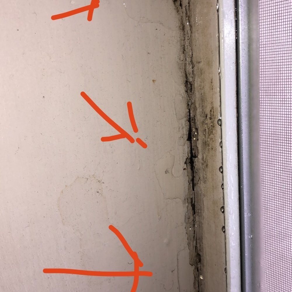 Grand Summit Apartments - Puddles of water that have soaked in through our "perfectly fine" windows. - Apartments Near Me - Grandview, Missouri Grand Summit Apartments - Puddles of water that have soaked in through our "perfectly fine" windows. - Apartments Near Me - Grandview, Missouri