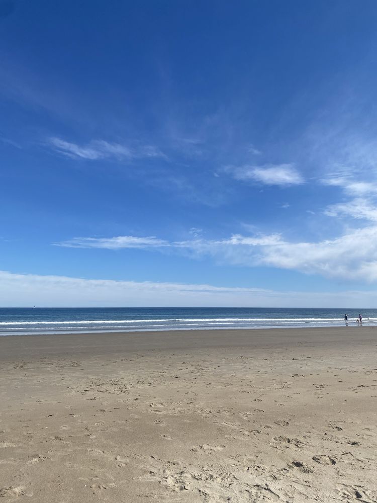 LONG BEACH Updated September 2024 12 Photos & 25 Reviews Thatcher