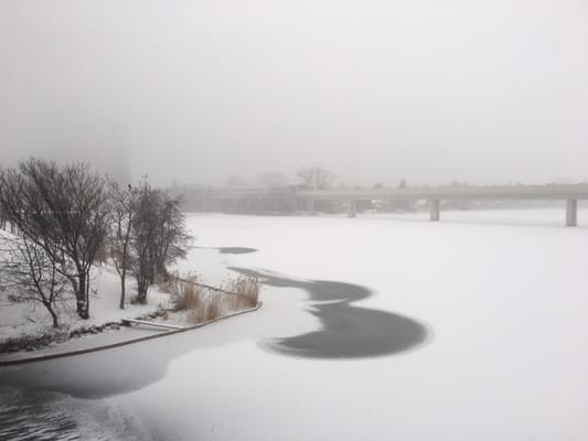 Alte Donau by null