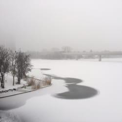 Alte Donau