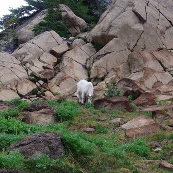 Ingalls Lake - Hiking Near Me