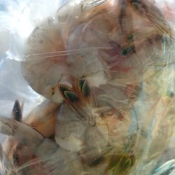 Lg local... SC Shrimp heads OFF! $13/lb