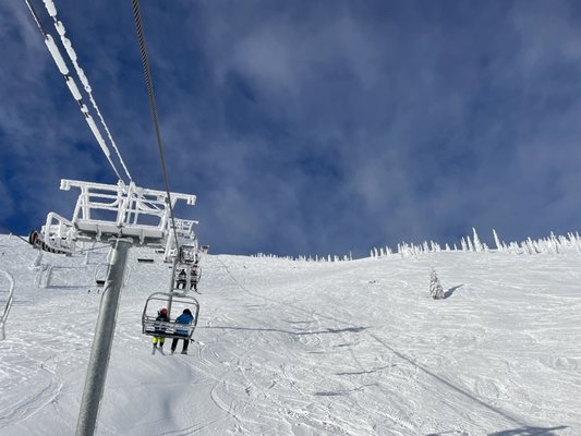 Schweitzer by null