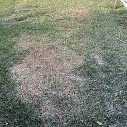 Yard Yard
