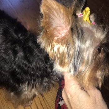 Wags to Whiskers - Pet Stores Near Me - Plainfield, Illinois Wags to Whiskers - Pet Stores Near Me - Plainfield, Illinois